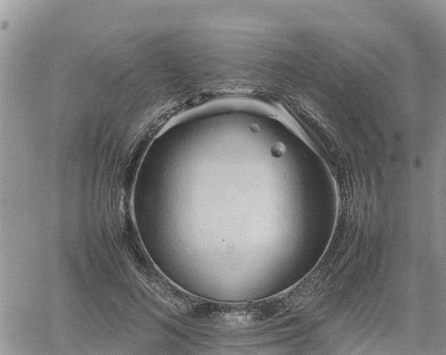 X0000062170692200512121241