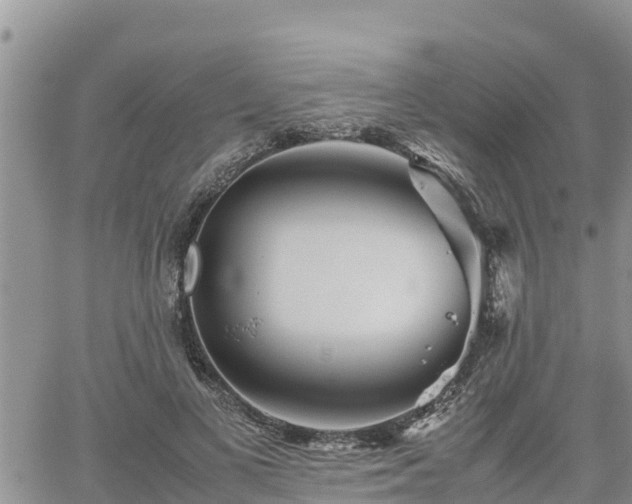 X0000062170693200512121241