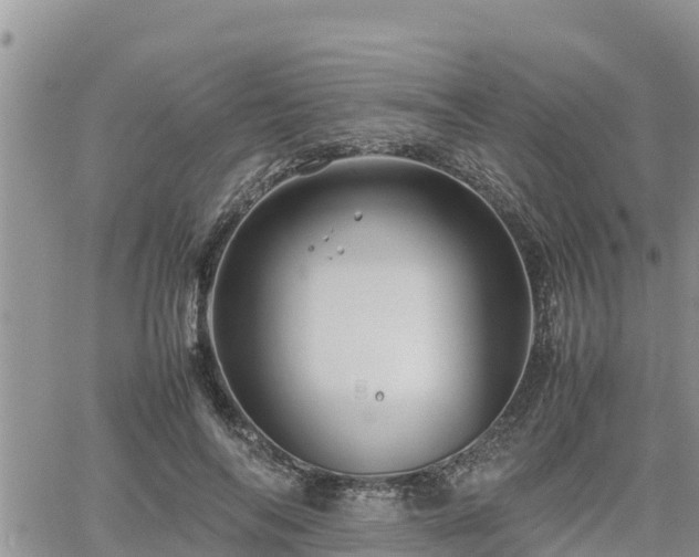 X0000062170694200512121241