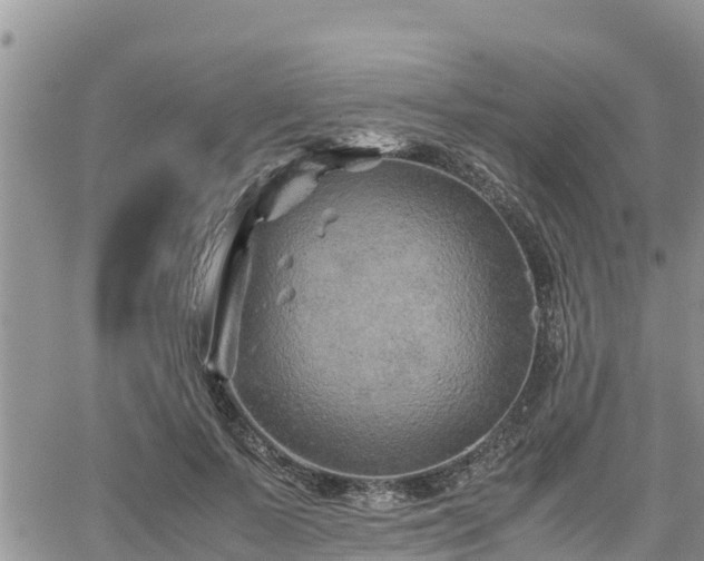 X0000062170695200512121241