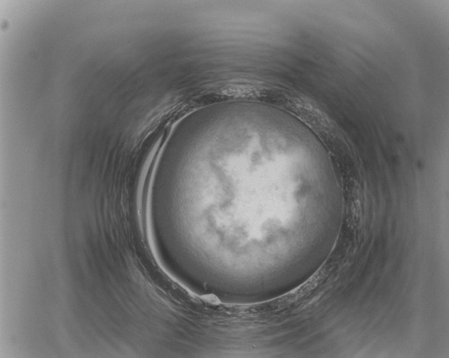 X0000062170696200512121241