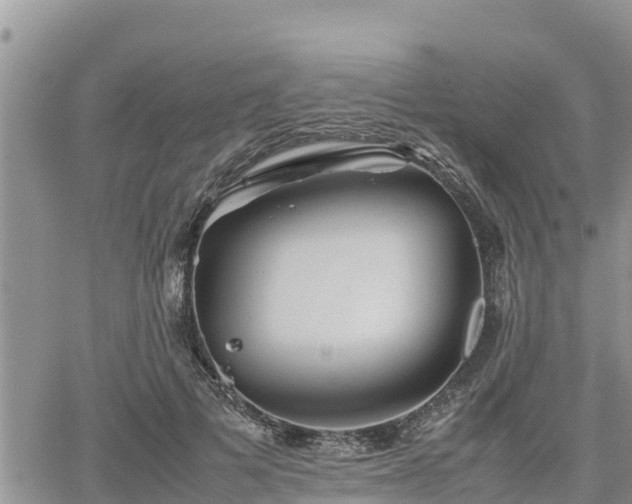 X0000062170697200512121241