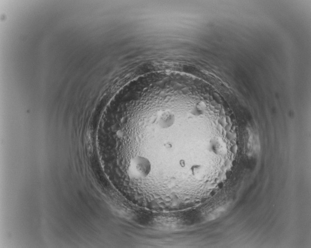 X0000062170699200512121241