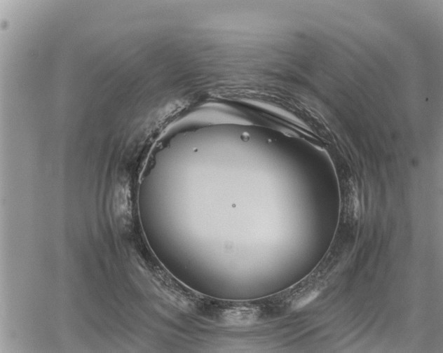 X0000062170700200512121241