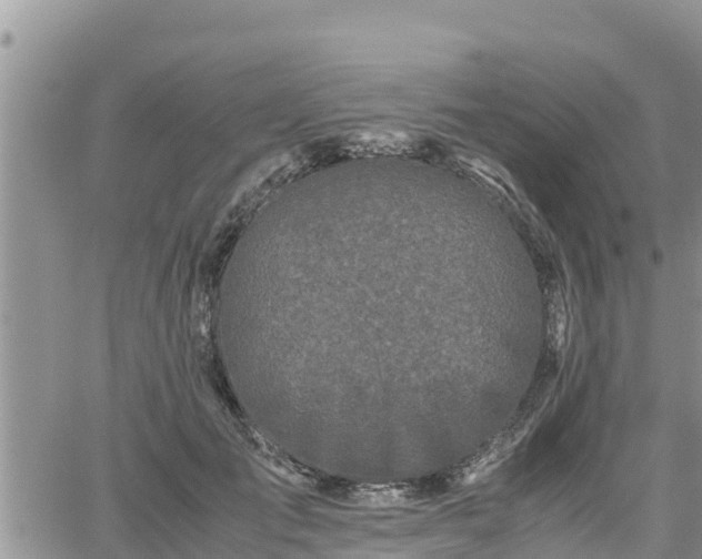 X0000062170701200512121241