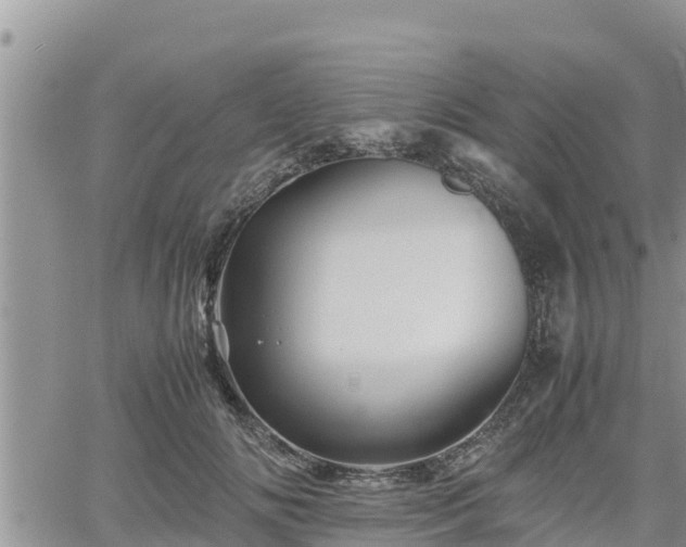 X0000062170702200512121241