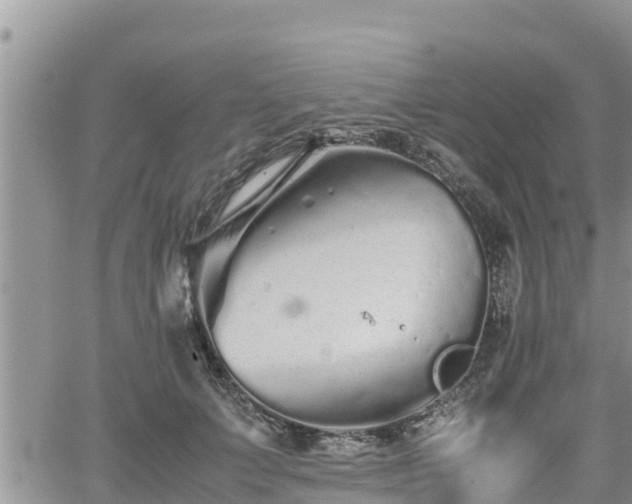 X0000062170703200512121241