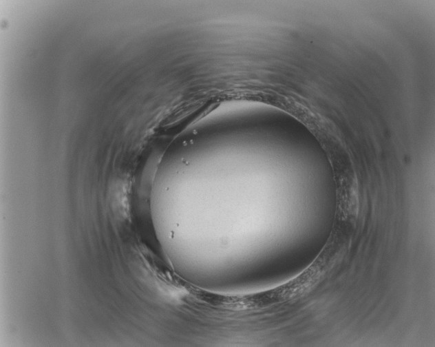 X0000062170704200512121240