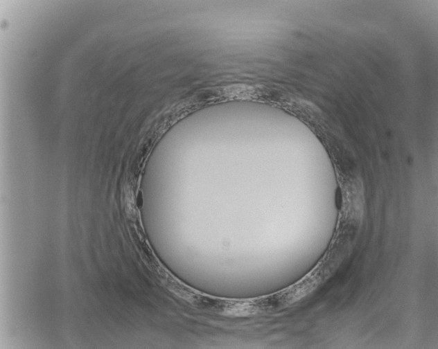 X0000062170705200512121240