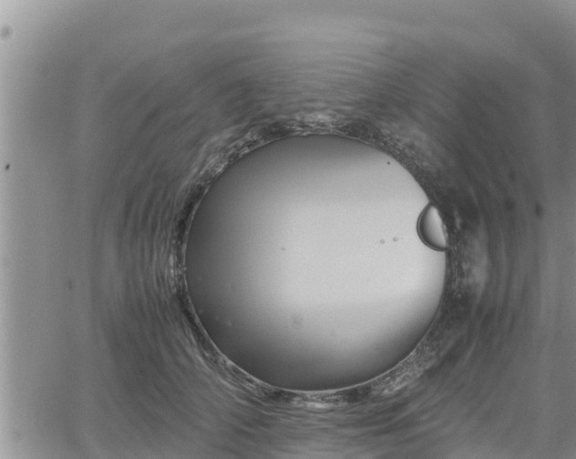 X0000062170706200512121240