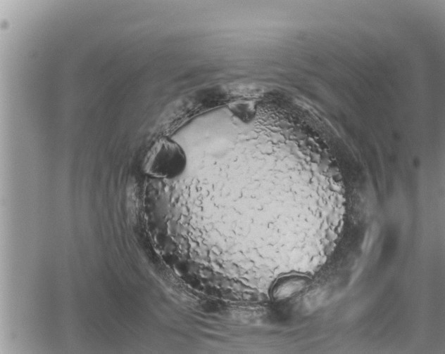 X0000062170707200512121240