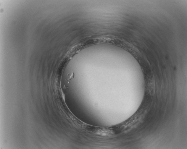 X0000062170708200512121240