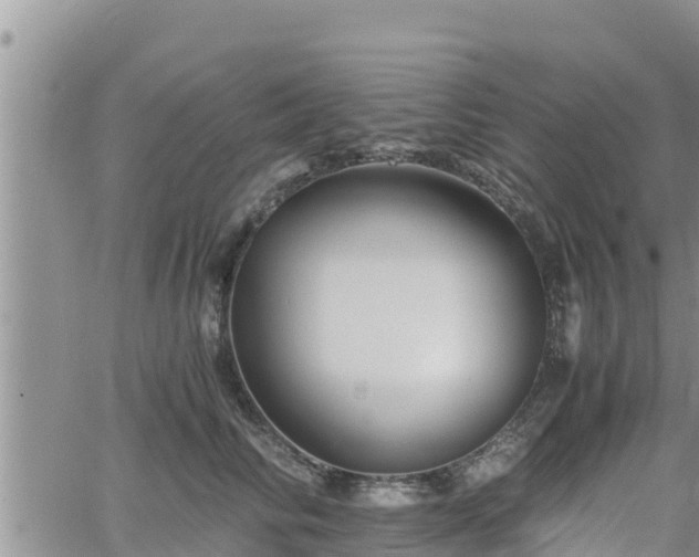 X0000062170710200512121240