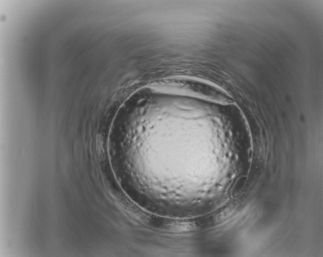 X0000062170711200512121240