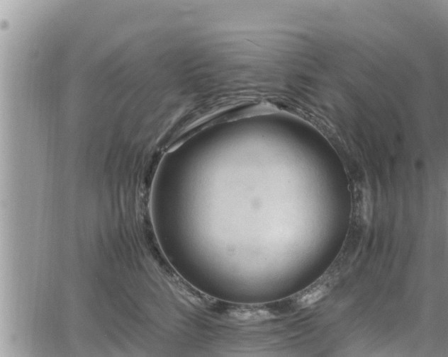 X0000062170712200512121240