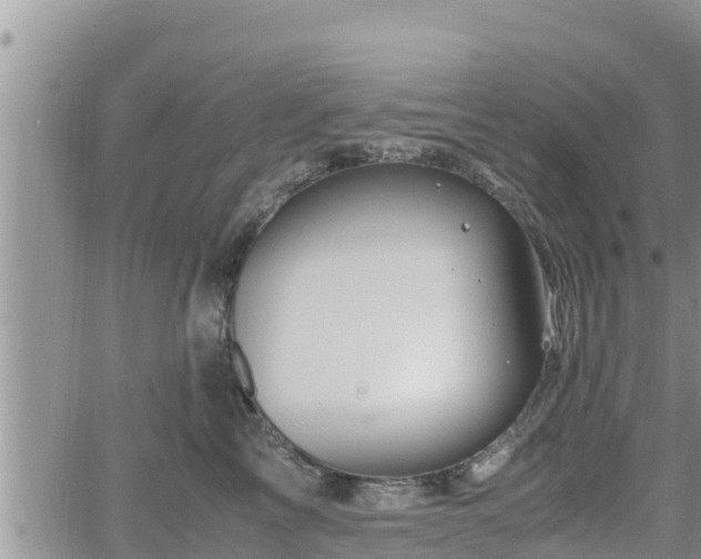 X0000062170713200512121240