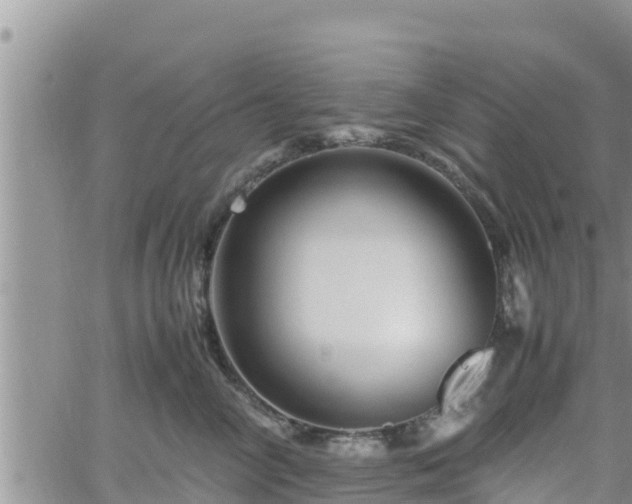 X0000062170714200512121240