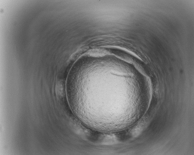 X0000062170715200512121240