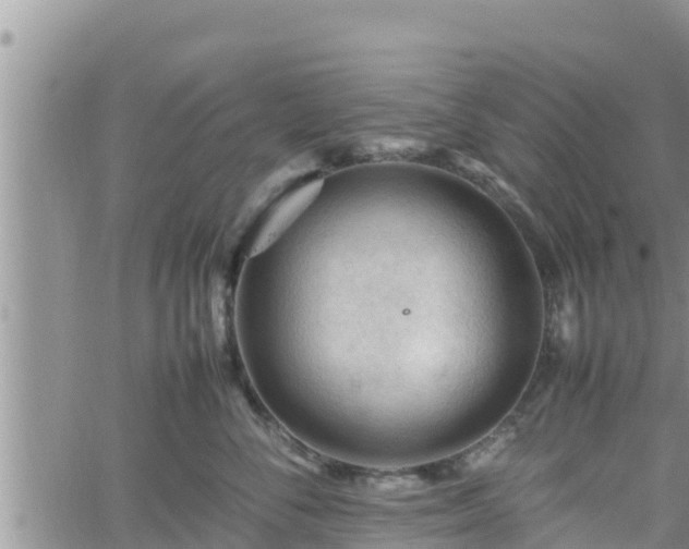 X0000062170716200512121240