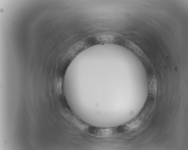 X0000062170717200512121240