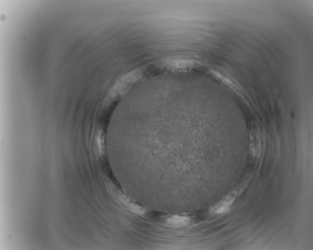 X0000062170718200512121240