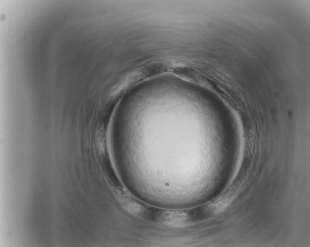 X0000062170719200512121240