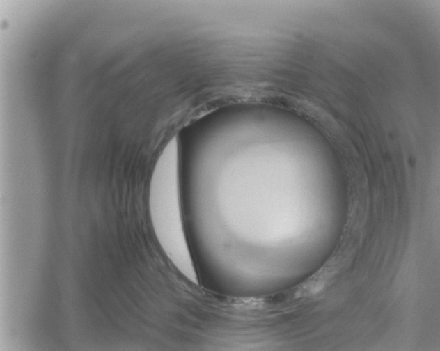 X0000062170720200512121240