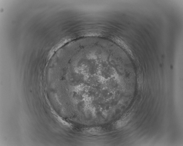 X0000062170721200512121239