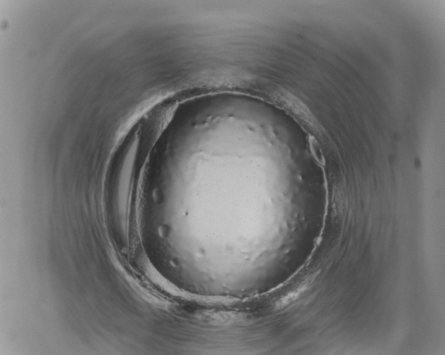 X0000062170722200512121239