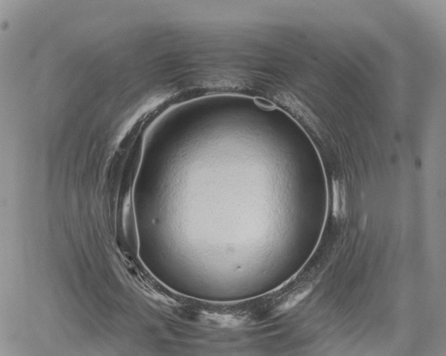 X0000062170723200512121239