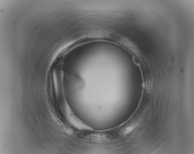 X0000062170724200512121239