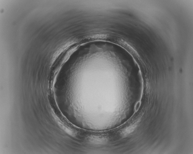 X0000062170725200512121240