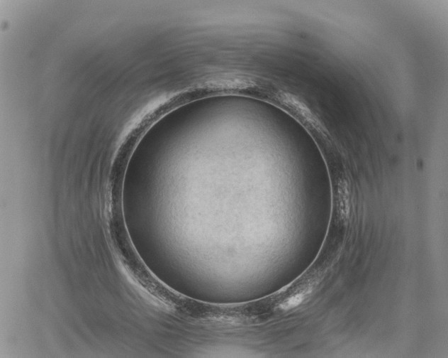 X0000062170726200512121240