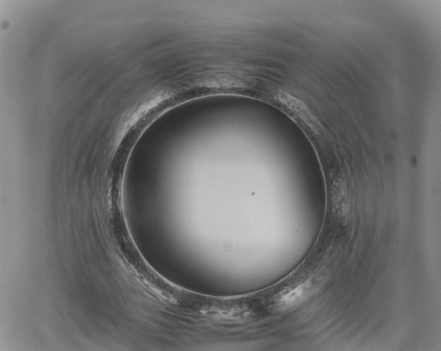 X0000062170727200512121240