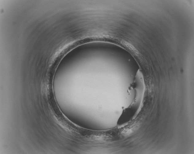 X0000062170728200512121240