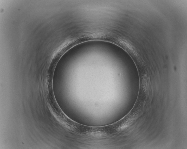 X0000062170730200512121240