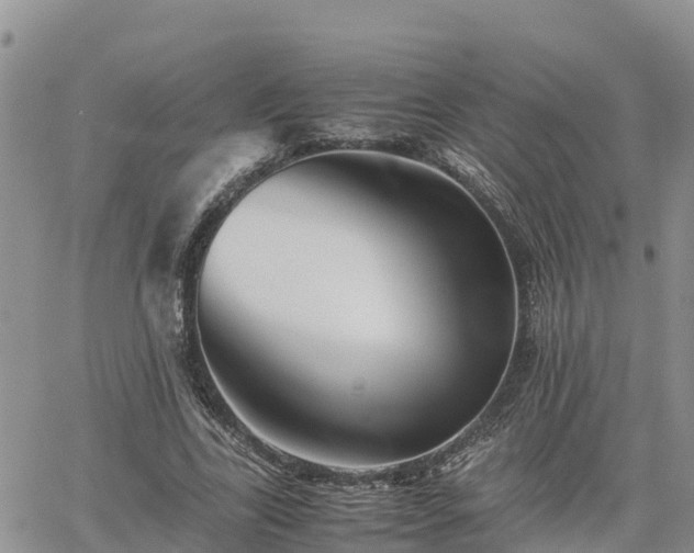 X0000062170731200512121240