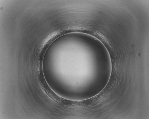 X0000062170732200512121240