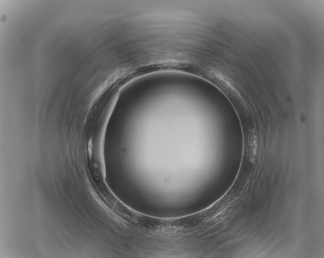 X0000062170734200512121240