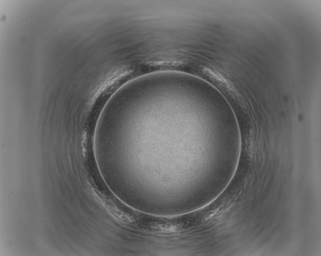 X0000062170735200512121240