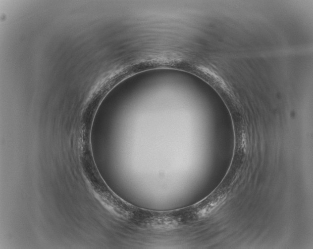 X0000062170736200512121240