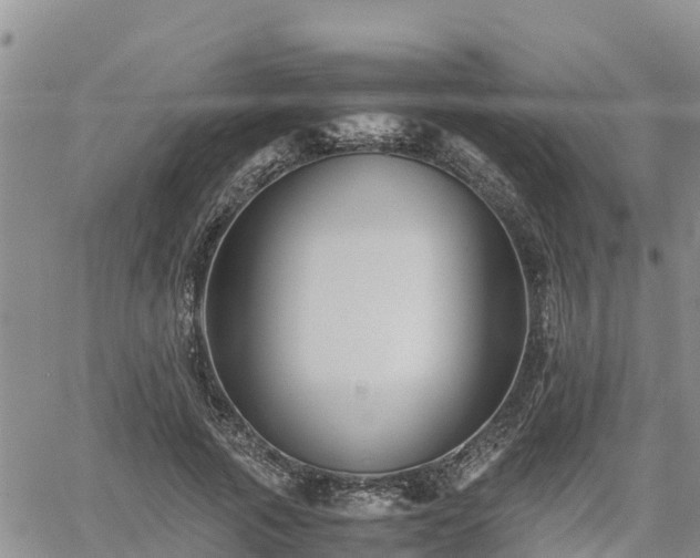 X0000062170737200512121240