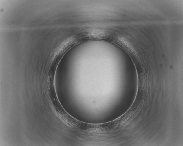 X0000062170738200512121240