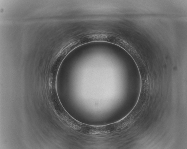 X0000062170739200512121240