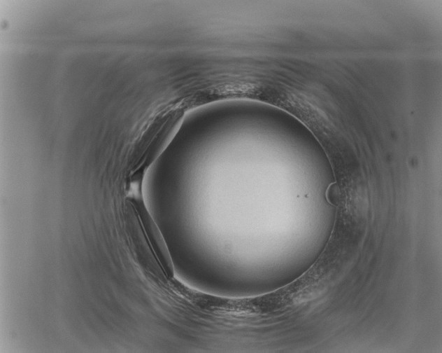 X0000062170743200512121240