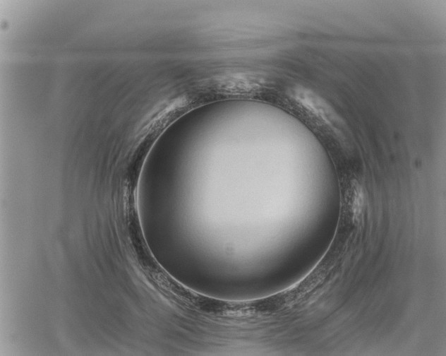 X0000062170744200512121240