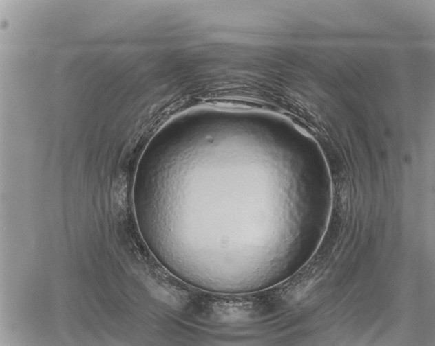 X0000062170745200512121240