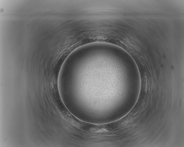 X0000062170747200512121240