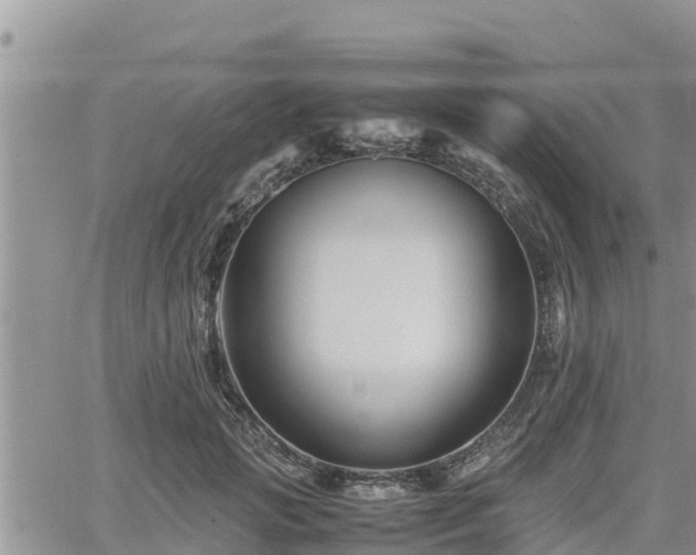 X0000062170749200512121240