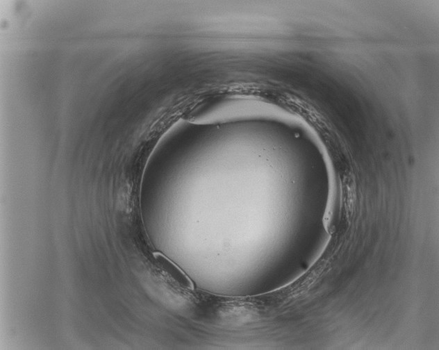 X0000062170750200512121240